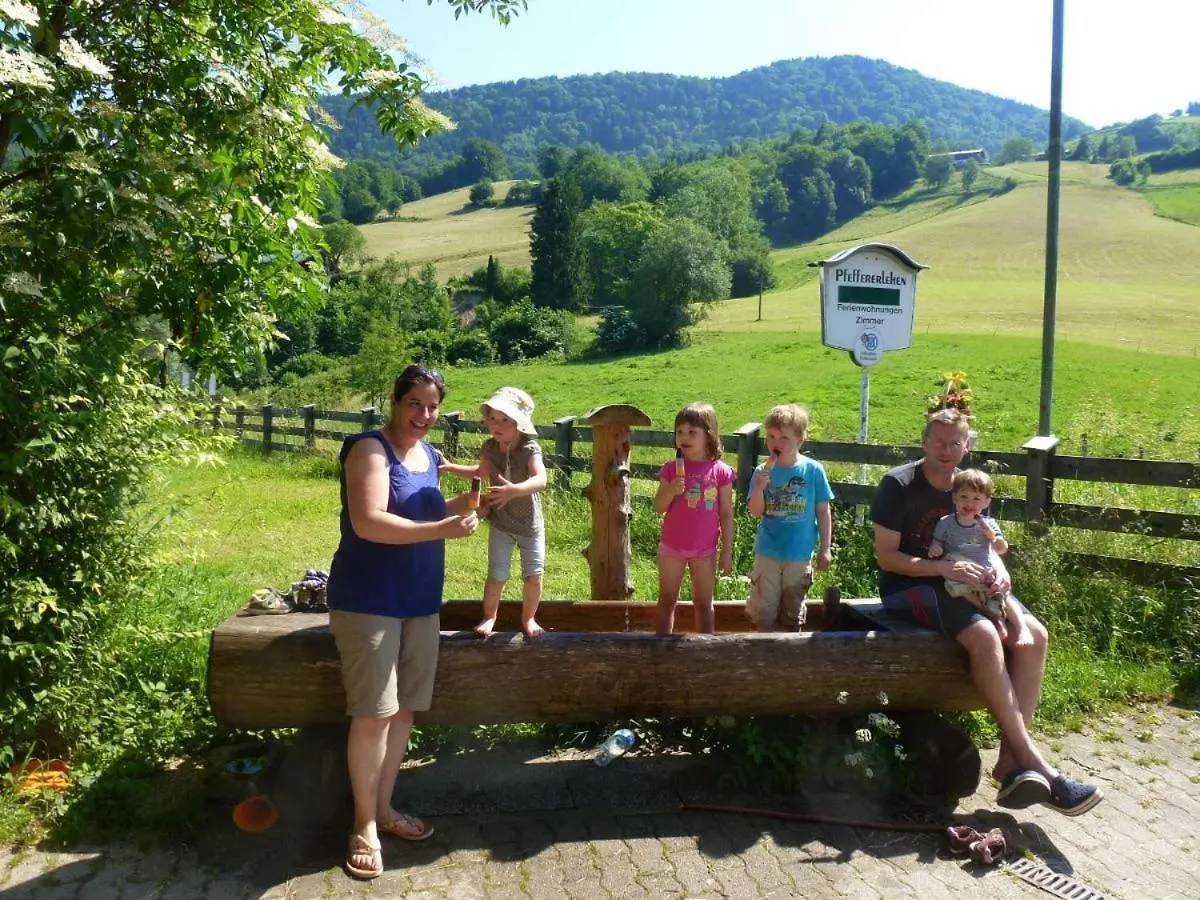 Gaestehaus Pfeffererlehen Marktschellenberg 0*,